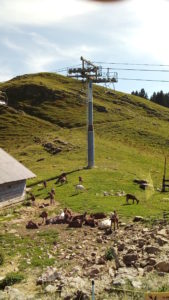 Randonnée au Semnoz avec le CILFA