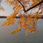 Retour le long du lac