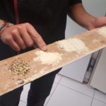 Différentes sortes de farines dans la boulangerie