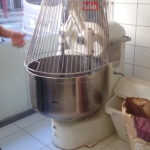 Le pétrin