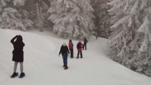 Les étudiants avant l'entrée dans la forêt magique