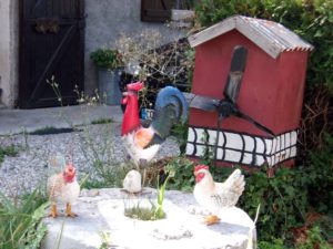 Poules et coq